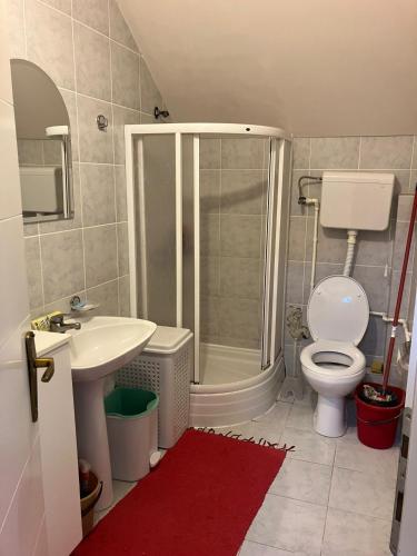 a bathroom with a shower and a toilet and a sink at Tanasic in Zlatibor
