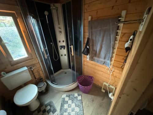 ベルリンにあるFerienhaus Waldblickの小さなバスルーム(トイレ、シャワー付)