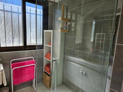 La salle de bains est pourvue d'une douche en verre et de serviettes roses. dans l'établissement Vue mer beau 2 pieces, à Antibes