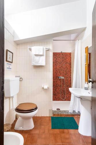 a bathroom with a toilet and a shower and a sink at Gerês Mountain Lake Views by Gerês Casas in Geres