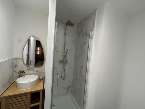 une salle de bain avec une douche, un lavabo et un miroir dans l'établissement La Lande Hilaire, à Saint-Ouen-des-Alleux