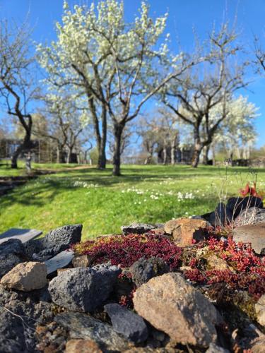 a rock garden with flowers and trees in a park at Les Volca'lodges de Tournebise in Saint-Pierre-le-Chastel