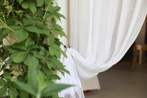 SantʼAndrea in CasaleにあるVilla Yeppaのギャラリーの写真