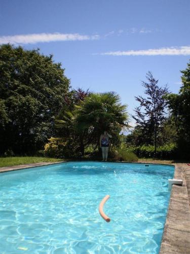 une personne debout à côté d'une piscine dans l'établissement Au Chateau, Luby- Betmont, à Luby-Betmont