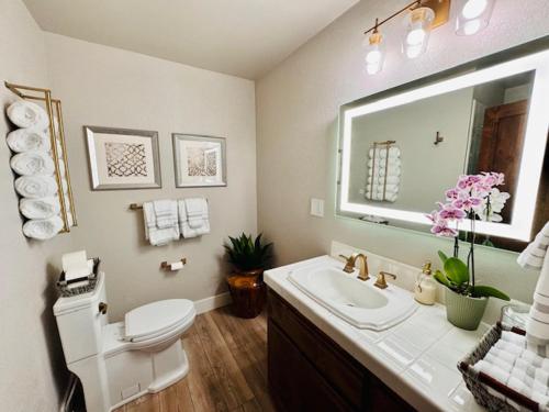a bathroom with a toilet and a sink and a mirror at Tropical Riverhouse Retreat in Anderson