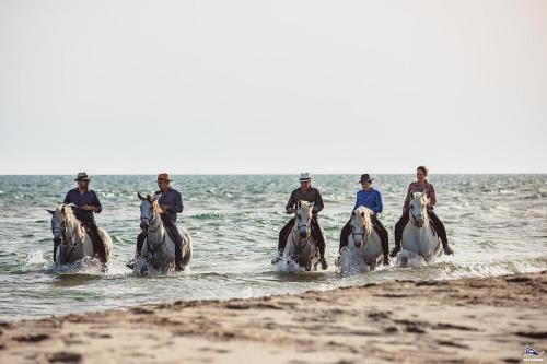 un groupe de personnes à cheval dans l'eau dans l'établissement L'Écume Saintes Maries de la Mer, à Saintes-Maries-de-la-Mer