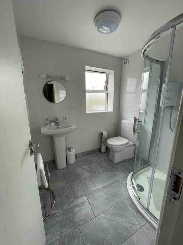 a bathroom with a toilet and a sink and a shower at 6 New Street Bantry Selfcatering BnB Apartment 1 in Bantry