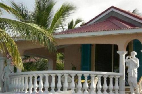 a house with a white railing and a palm tree at Sun Caraibes in Orient Bay