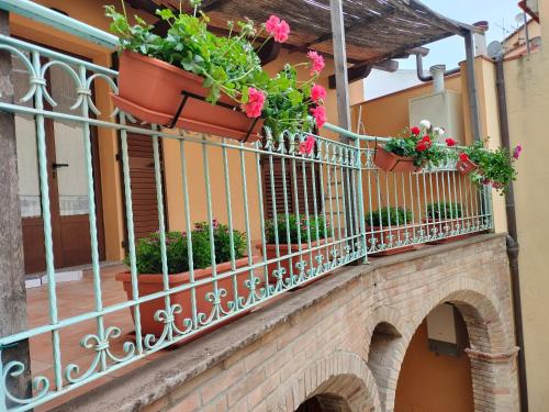 a balcony with potted plants on a building at Casa Giuliana in Pula