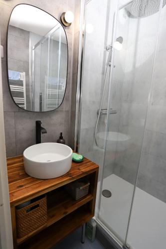 une salle de bain avec un lavabo et une douche dans l'établissement St cyprien appart vue mer 2 a 4 personnes avec piscine, à Saint-Cyprien