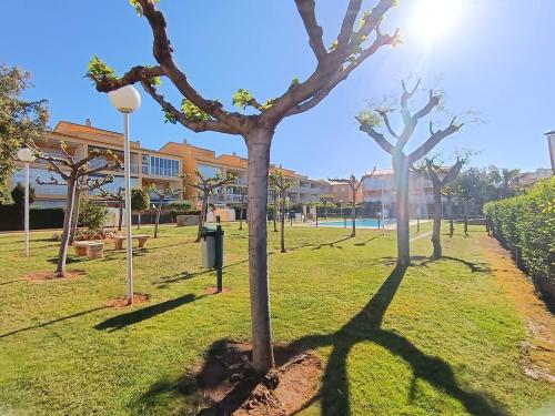 a group of trees in a park at Ayf luminoso en playa morro de gos in Oropesa del Mar