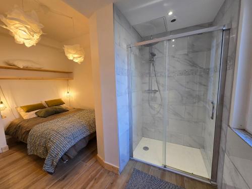 a bedroom with a shower and a bed at La Glycine in Coulommiers