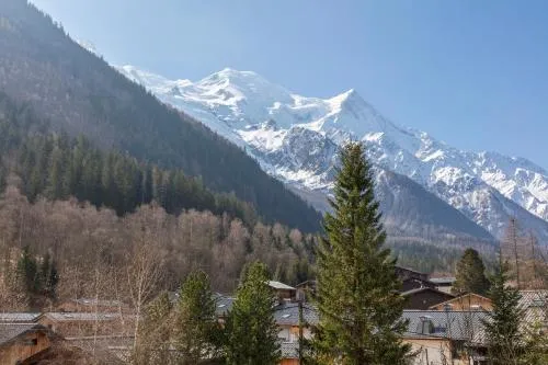 Hôtel Les Aiglons Chamonix photo 8