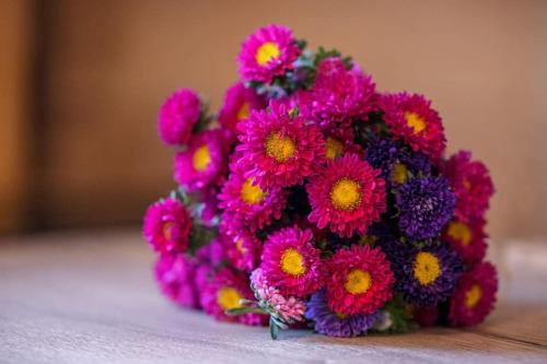 Une bande de fleurs roses assises sur une table dans l'établissement PREFECTURE 15 - Old Town Duplex 2 doubles beds, à Nice
