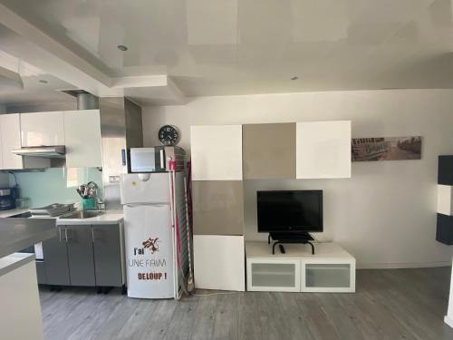 Il comprend une cuisine équipée d'un réfrigérateur et d'une télévision. dans l'établissement Le cosy dans la marina de Carnon, à Carnon-Plage