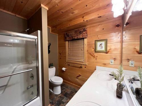 a bathroom with a toilet and a shower and a sink at Minutes to Boone, Blowing Rock, HotTub, Firepit in Blowing Rock