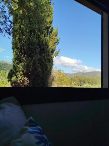 a window with a view of a tree at Holiday Vibes Relax in Quartu SantʼElena