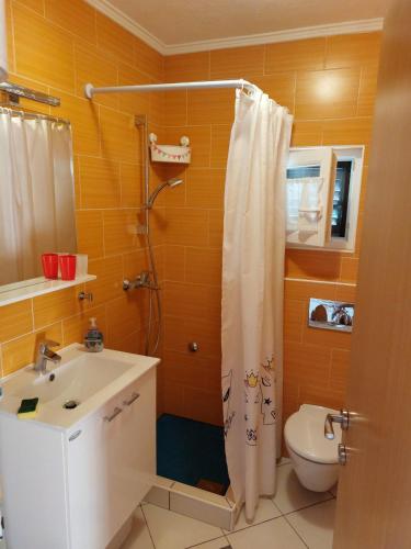 a bathroom with a shower and a sink and a toilet at Apartment Jenul in Labin