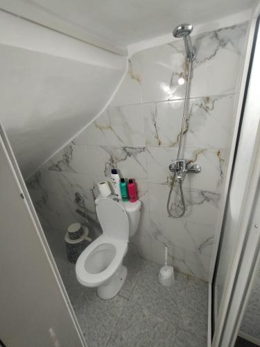 a bathroom with a toilet and a shower at Studio Mohammed in Rabat