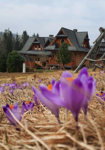 Zahrada ubytování Domek Kojsówka