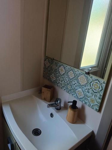 une salle de bain avec un lavabo et un miroir dans l'établissement Mobil Home climatisé 3 chambres - Parc des 7 fonts, à Agde