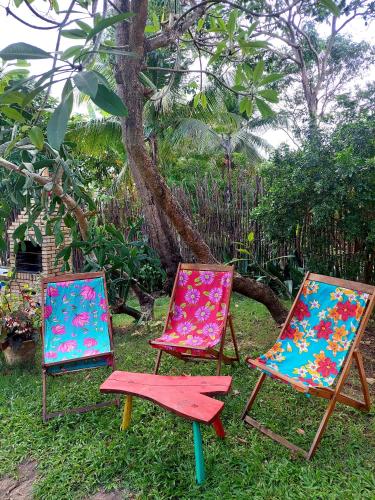 three chairs sitting in the grass next to a tree at Casa Jasmine Taíba in Taíba