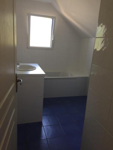 ein Badezimmer mit Waschbecken und Toilette und einem Fenster in der Unterkunft La Maison Bleue in Saint-Avé