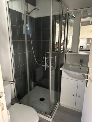 une salle de bain avec une douche, des toilettes et un lavabo dans l'établissement Mazet du soleil, à Saint-Martin-de-Brômes