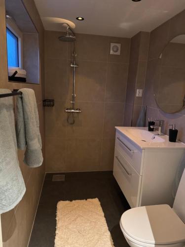 a bathroom with a toilet and a shower at Leilighet på Harøya in Ålesund