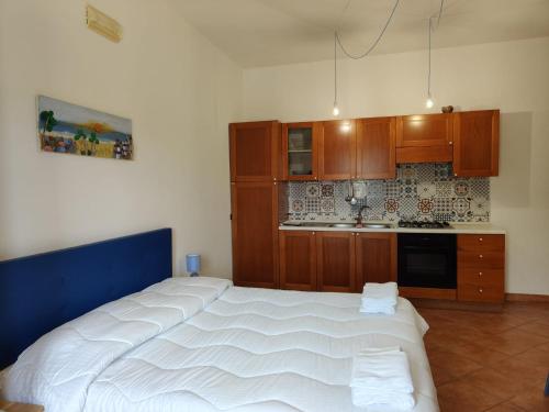Kuchyň nebo kuchyňský kout v ubytování That's Amore Cilento Country House