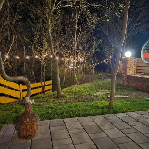 a park at night with a fence and a vase at Dom Chalet in Tisău