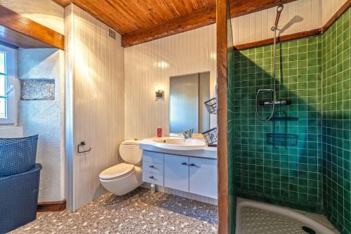 une salle de bain avec un lavabo, des toilettes et une douche dans l'établissement Authentique maison de caractère à Ploumoguer, à Ploumoguer