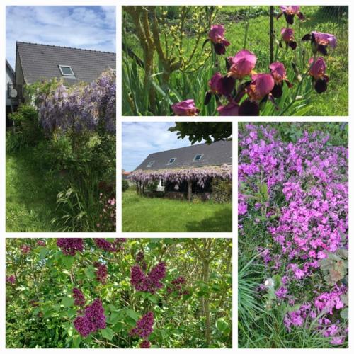 Le mouton à bicyclette