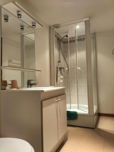 une salle de bain avec une douche, un lavabo et des toilettes dans l'établissement Gite les Baudy - group for 20 people, à Le Haut-du-Them