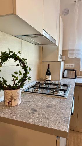 a kitchen with a stove and a potted plant on a counter at Deterra Studio 70 next to Metro Station Berceni in Popeşti-Leordeni