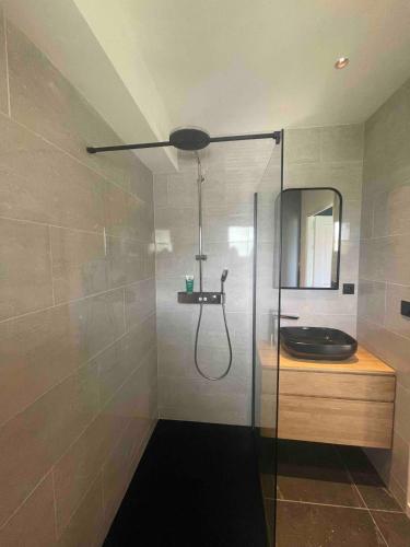 une salle de bain avec une douche en verre avec un lavabo dans l'établissement Cocon vue mer, à Louannec