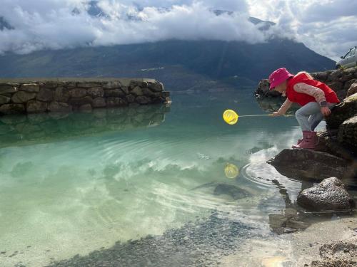a woman playing with a yellow frisbee in the water at Flo Lake House in Stryn
