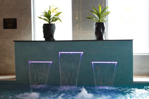 a table with three potted plants on it with water at Astoria Hotel & SPA in Hunedoara