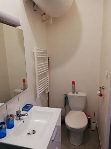 une salle de bain avec un lavabo blanc et des toilettes dans l'établissement maison de ville, à La Celle-sous-Gouzon