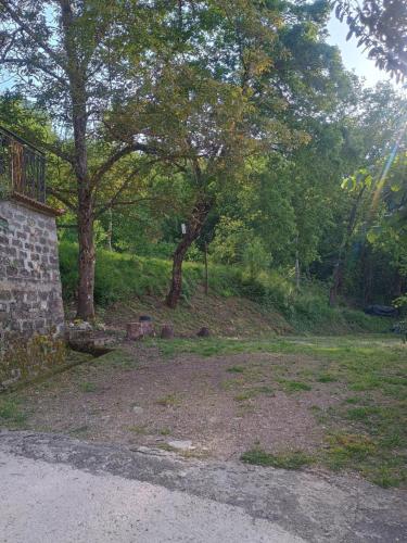 a yard with a tree and some grass and trees at B&b Fabra Casa Mia e non solo in Falvaterra