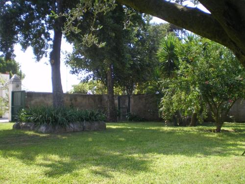 Сад в Masseria della Casa