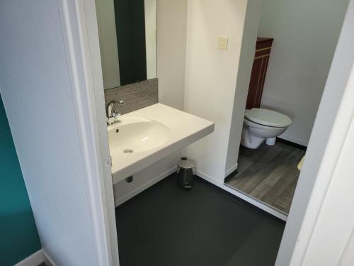 a bathroom with a sink and a toilet at Hôtel Les Rives D'Allier in Mazeyrat-d'Allier