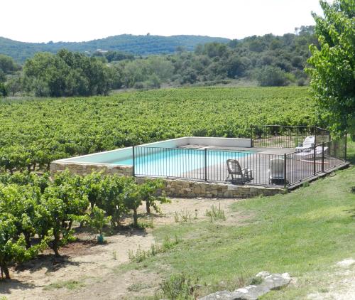 une maison dans un vignoble avec une piscine dans l'établissement Véritable mas provençal avec 3 logements en pleine nature, à Cavillargues