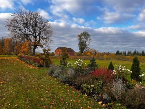 a garden with flowers and a barn in the background at Blankenfeldes muiža in Tērvete