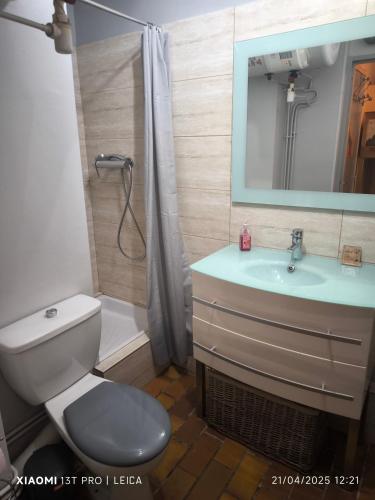 une salle de bain avec toilettes, lavabo et douche dans l'établissement Studio, aux Lecques
