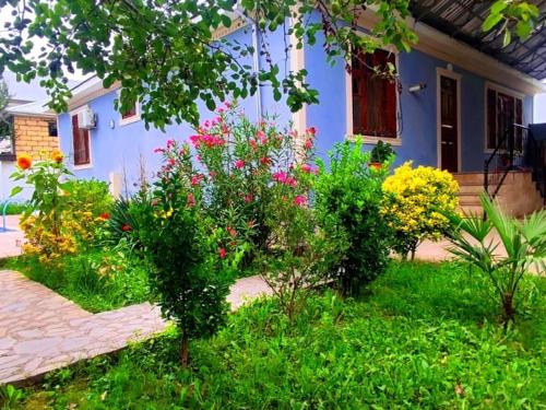 Taman di luar Gabala Grean Villa