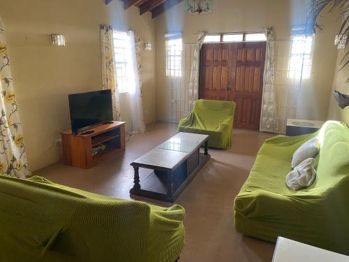 a living room with two green couches and a tv at GNC Guesthouse in Saint Peter