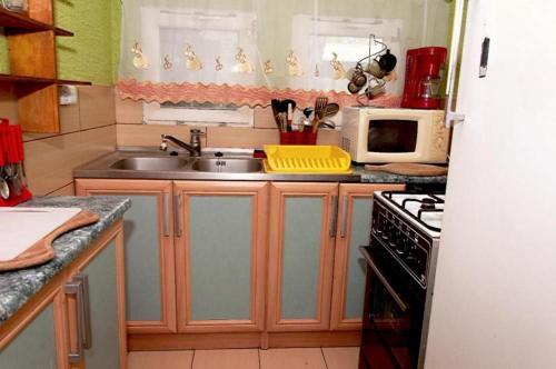a kitchen with a sink and a microwave at Domek Letniskowy nad jeziorem Głuszyńskim in Orle