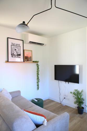 un salon avec un canapé et une télévision à écran plat dans l'établissement Appartement T2 cosy, à Roussillon
