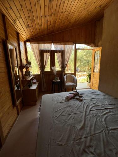 a bedroom with a bed and a desk and windows at Meddur Siwa Oasis in Siwa